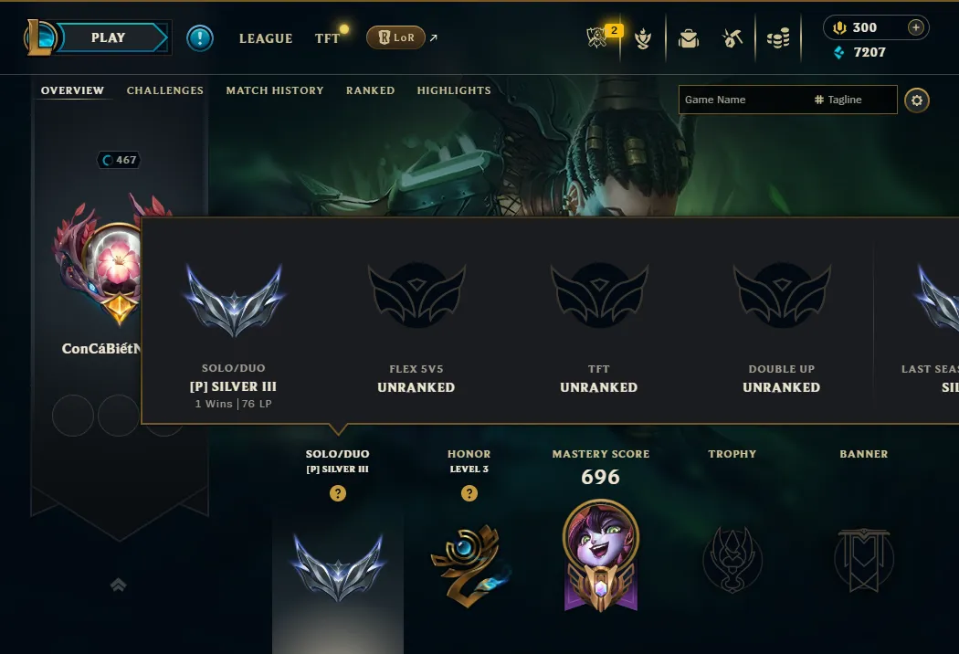 👑(EUW) SILVER III(100% WR, SUPER HIGH ELO) 🚀475 SKIN