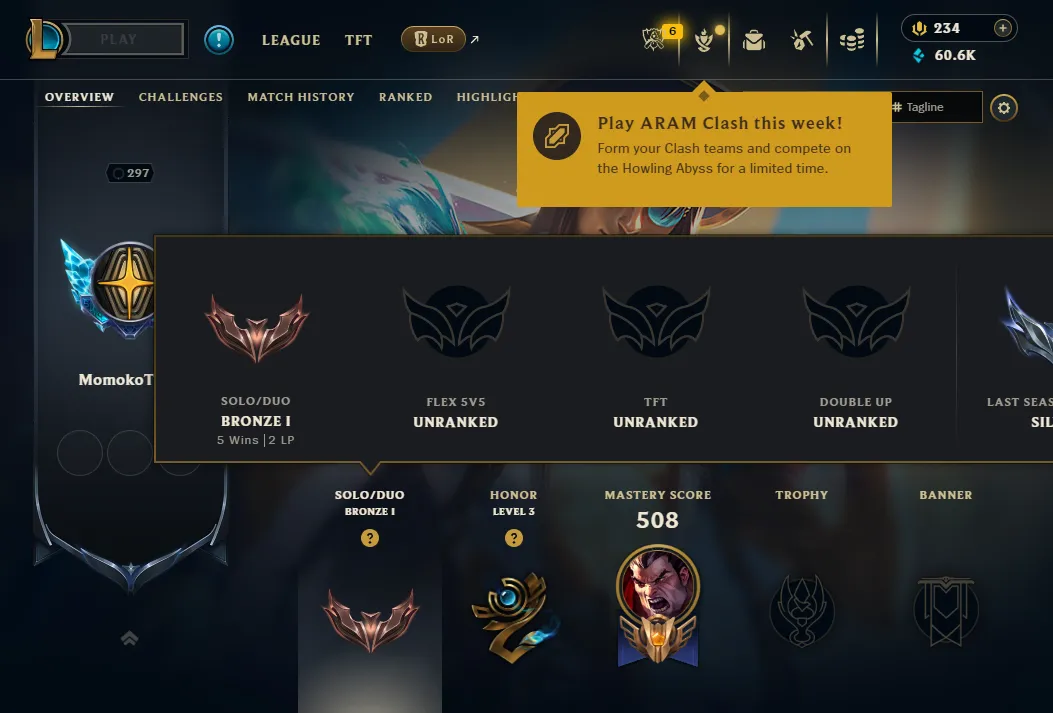 👑(EUW) BRONZE I (100% WR, HIGH ELO) 🚀384 SKIN
