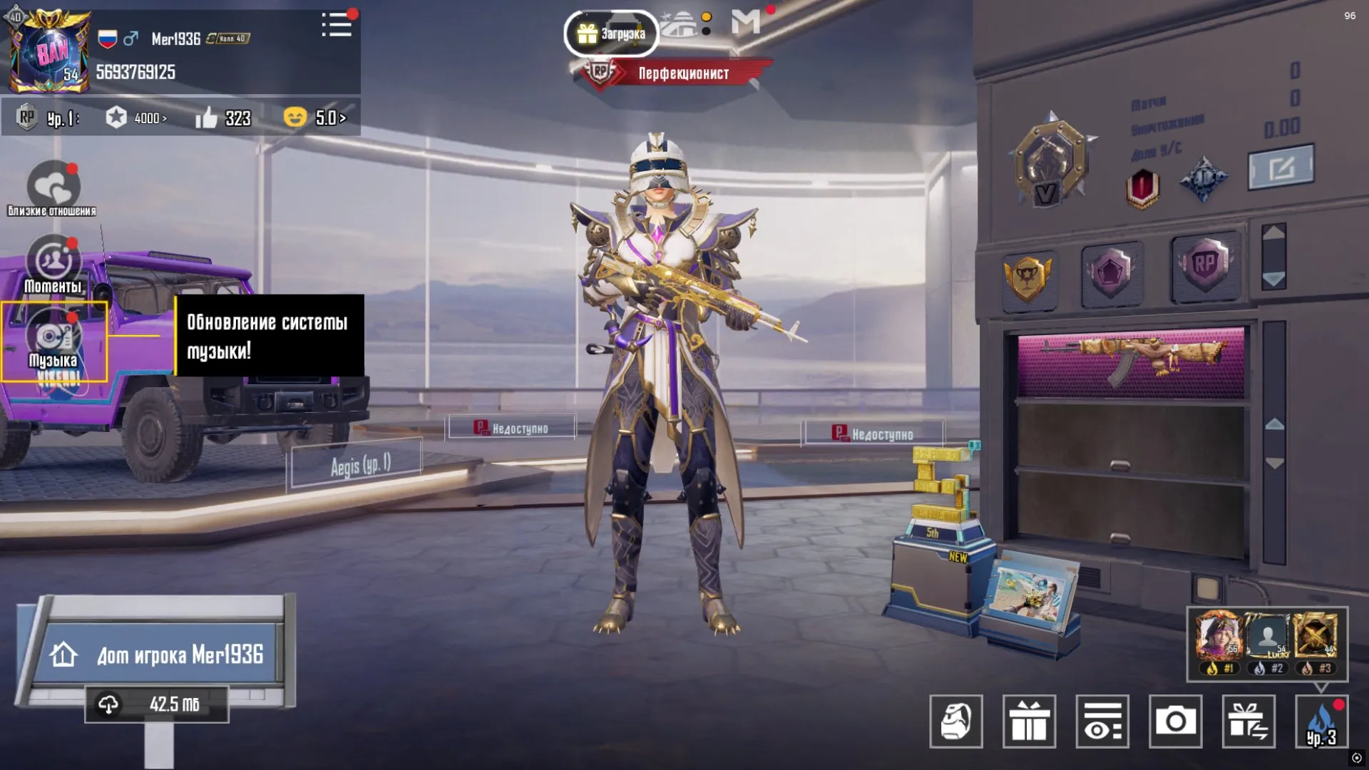 PGM458 //40 LVL Collection + AKM Wandering Despot + M762 Unrestrained Rebellion + Top Mythic Skins (K)