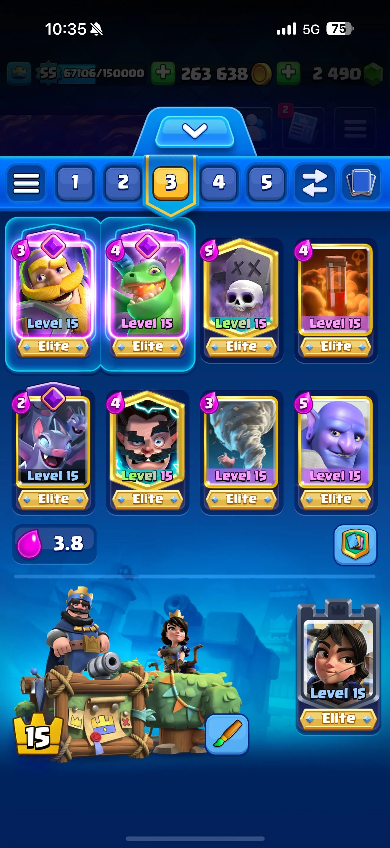 CR482 //LV55 10000 Trophies | Graveyard Deck | 12 Evolution Cards | 6 Shard Evo | 10 Level 15 Cards | 14 Level 14 Cards | Name Change Available