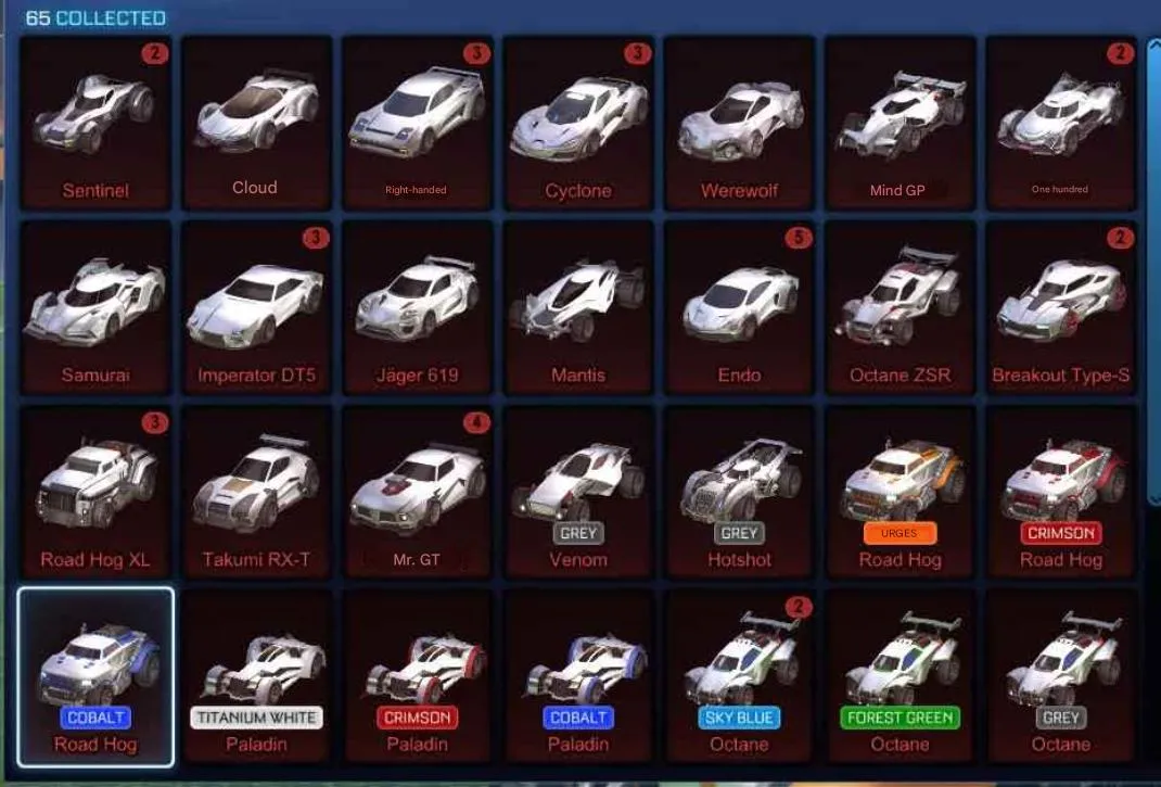 STOCK808 //Endo, Anodized Pearl, 35+ Cars, 20+ Black Markets, Painted Octanes (K)