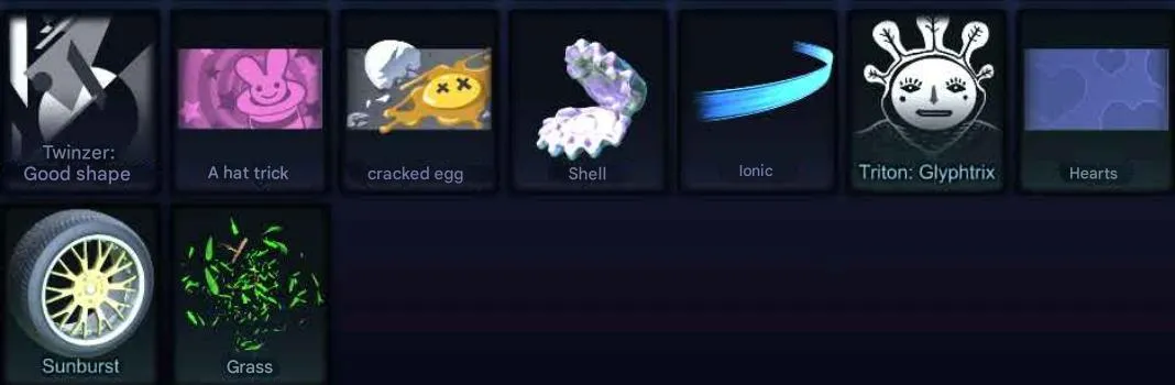 STOCK943 //Fennec Black Market, Ford Mach-E, Black Market Decal Inventory Level 30 Calibration Ranks (K)