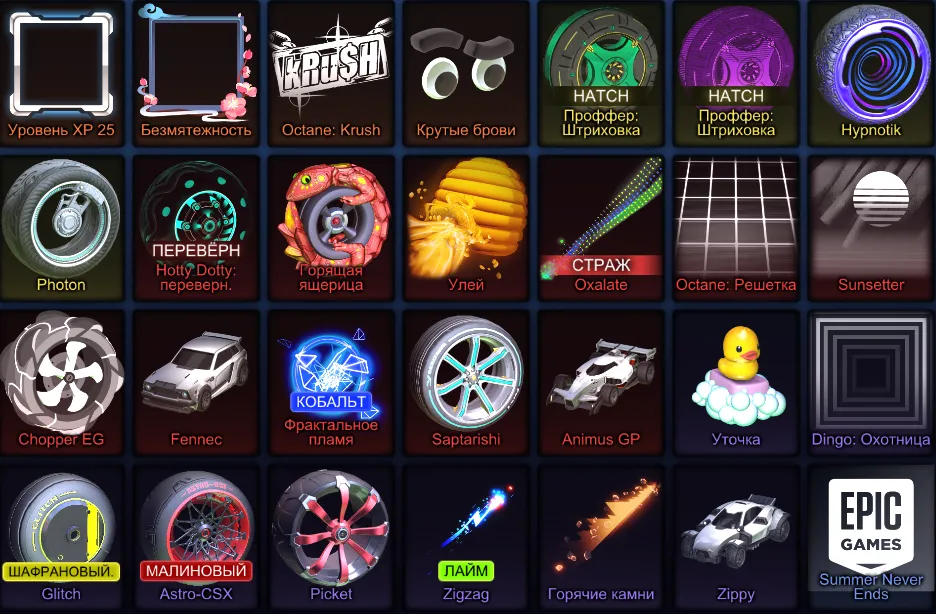 RL880 //Fennec, Animus GP, Dingo, Chopper EG, Zippy, Future Fashion, Octane Skins, Flags, RLCS Theme, Premium Wheels(K)