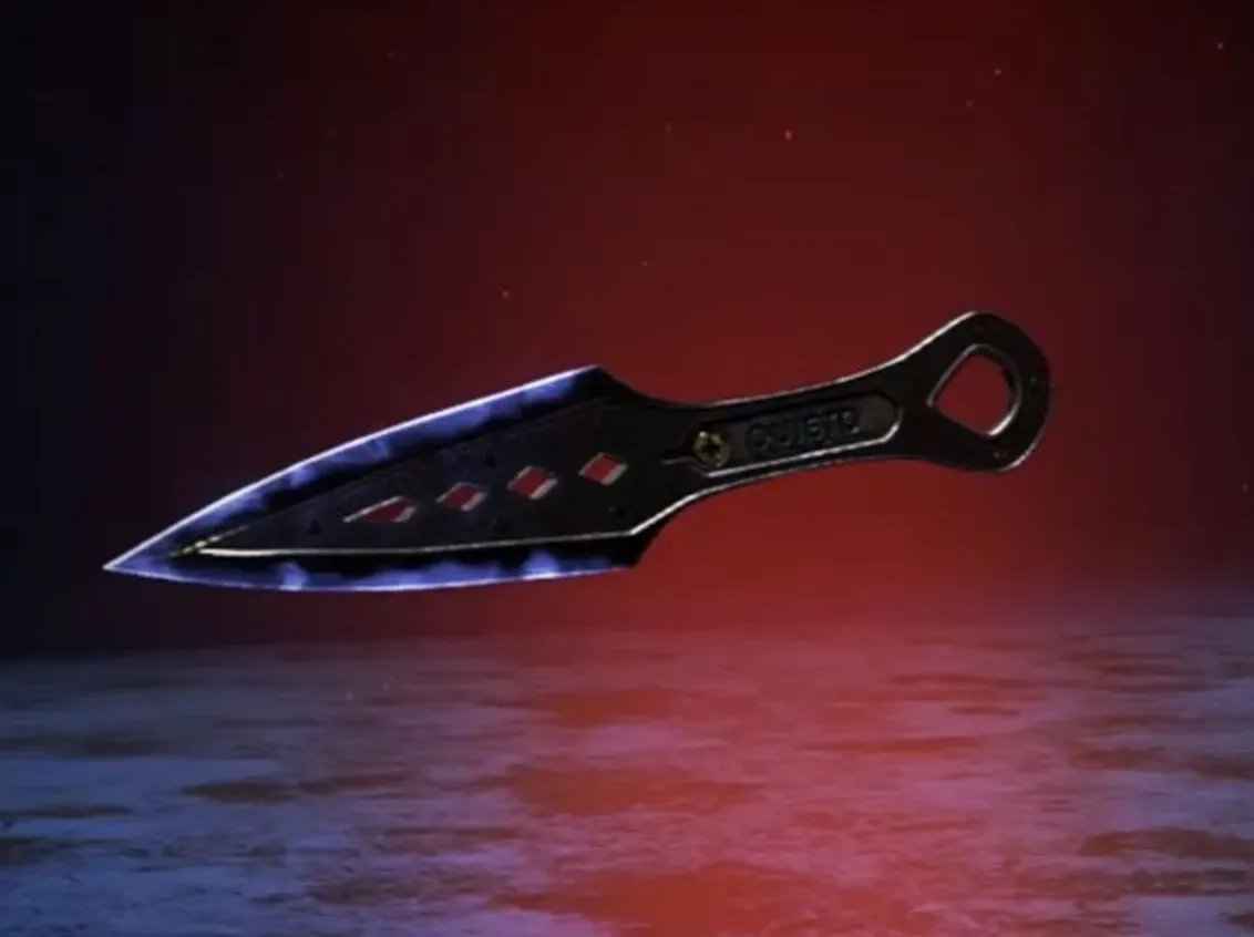 AP609 Wraith Heirloom + Level 180 + Full Access Changeable Mail