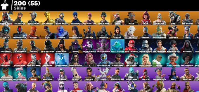 F1309 Double Helix, The Reaper, 200 Skins, Lifetime Mail, 145 Pickaxes, Rare Outfits (G)