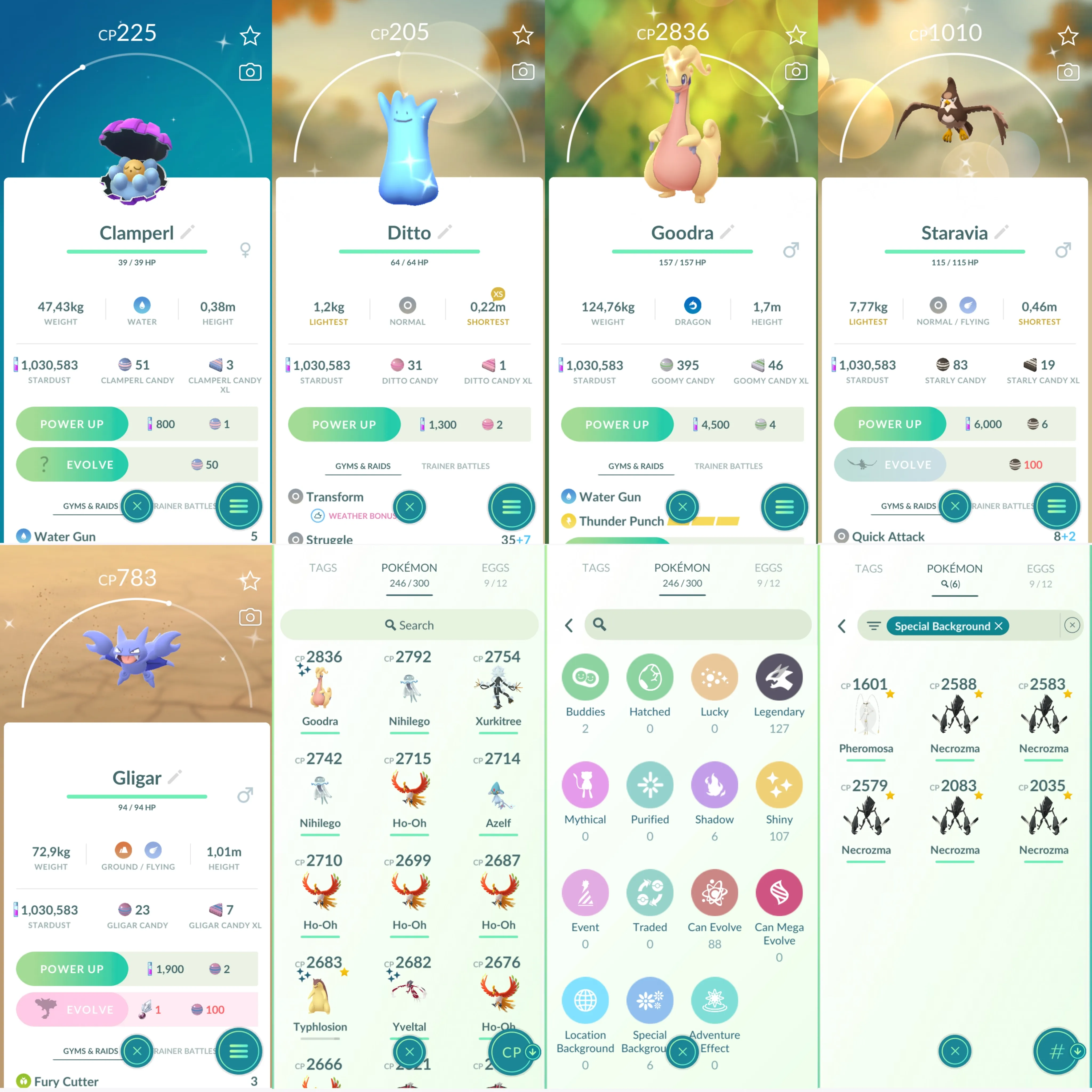 1131 LV40 Special background: necrozma, pheromosa. Charizard100 Shundo typhlosion. Shiny: necrozma, yveltal, Charizard