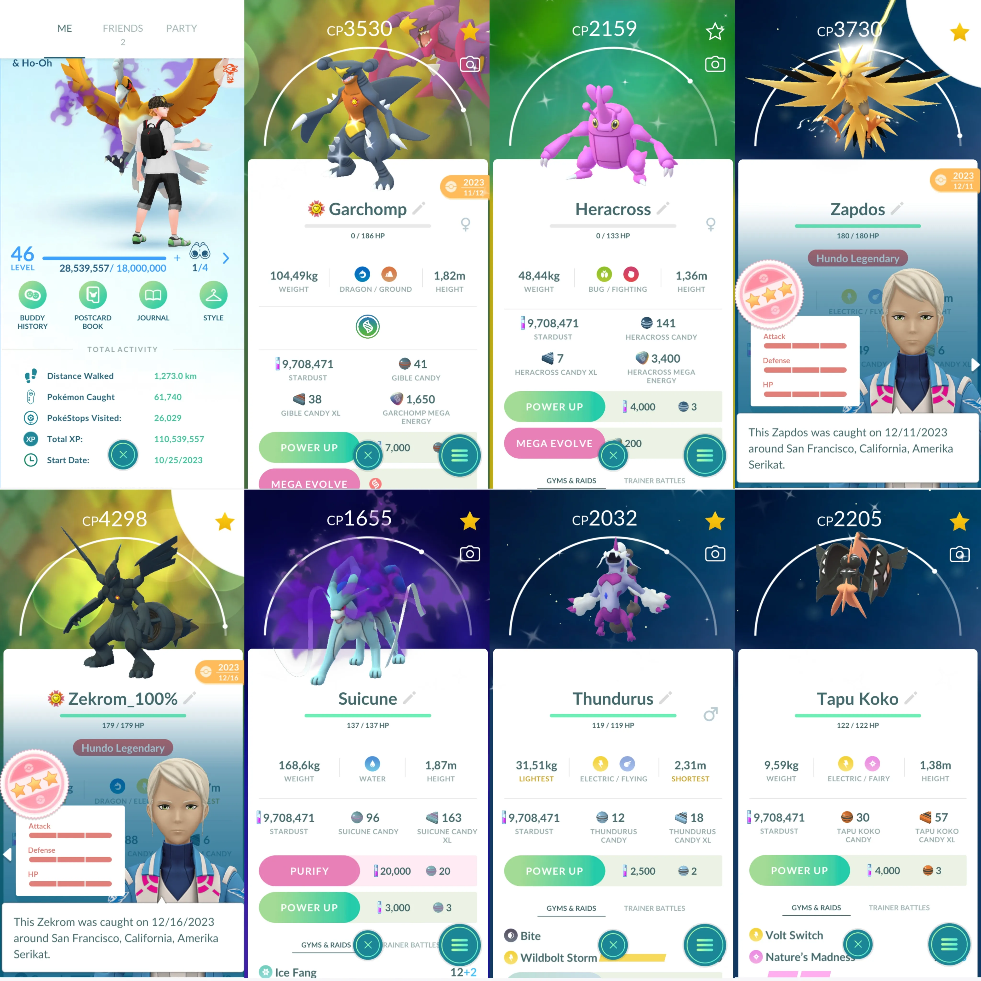 1156 LV46 Zekrom100 Hundo Legend:6 Shiny: Charizard, mega heracross, mega garchomp, Pichu, shadow suicune