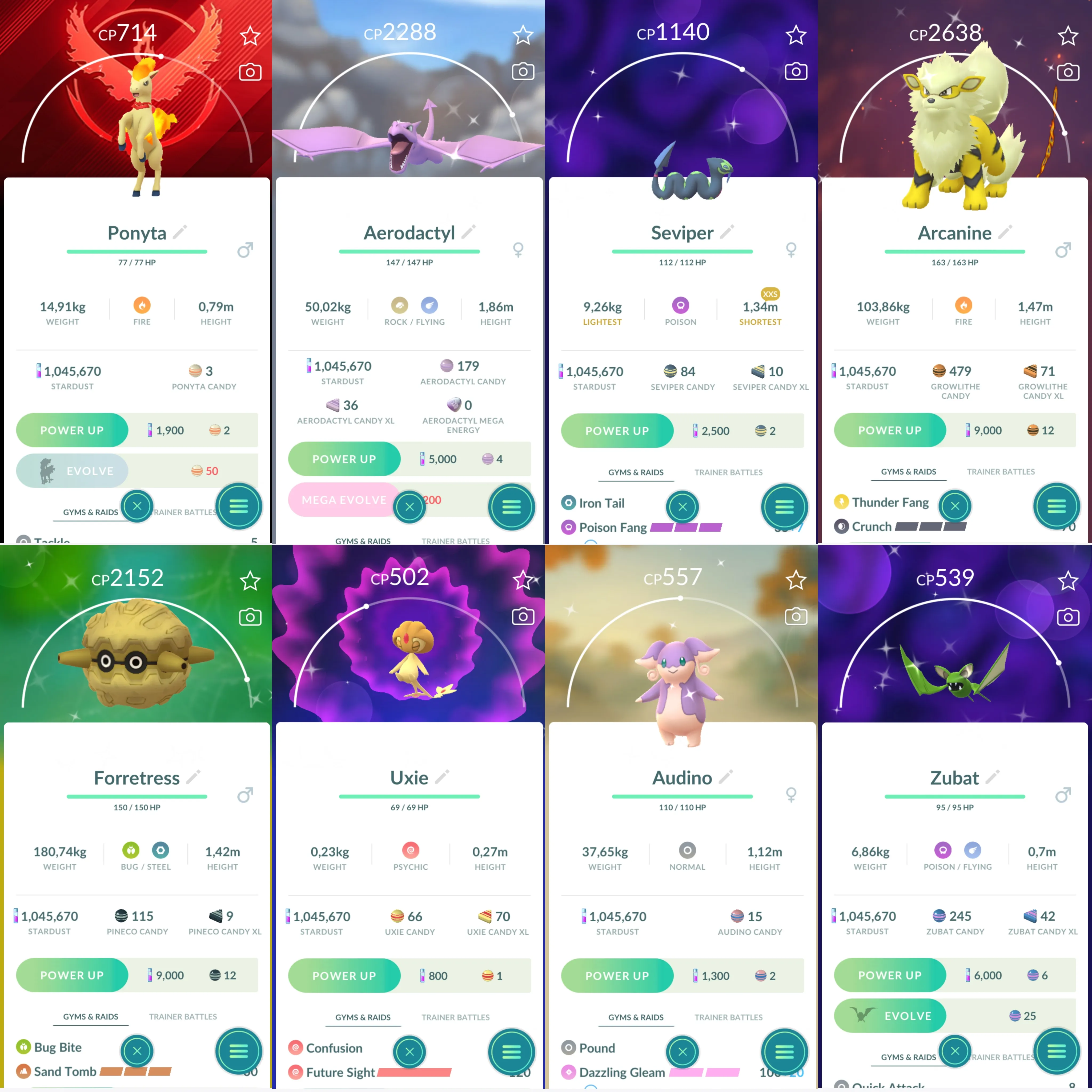 1259 LV40 Pikachu WCS2024 BG Hawaii Sp BG Ponyta+Lapras Shiny: shadow lugia, xerneas, mesprit, uxie, azelf, Aerodactyl