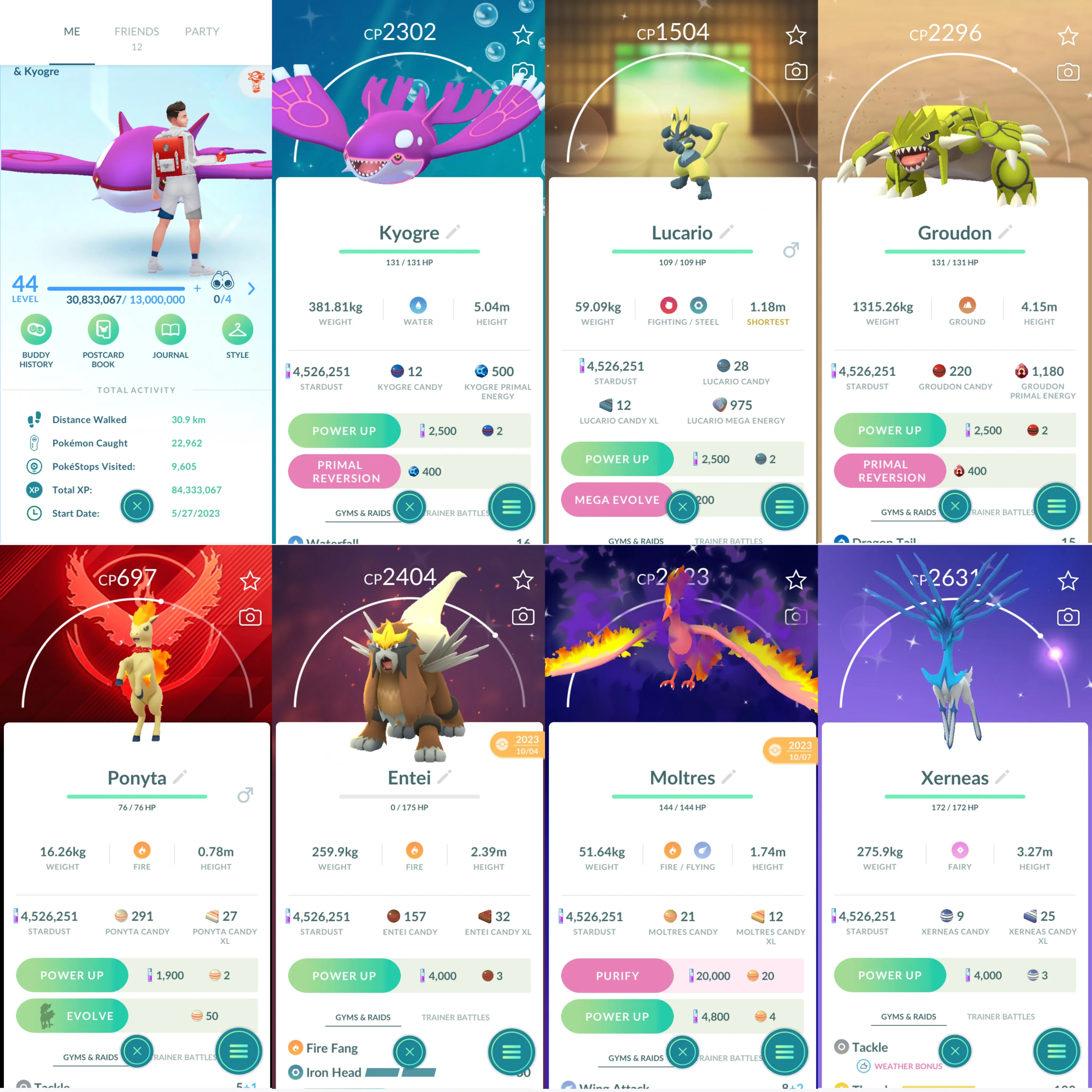1298 LV44 Mega Groudon100 Raikou100 x2 Sp Bg Ponyta Shiny: mega kyogre, mega groudon, mega Lucario, Charizard