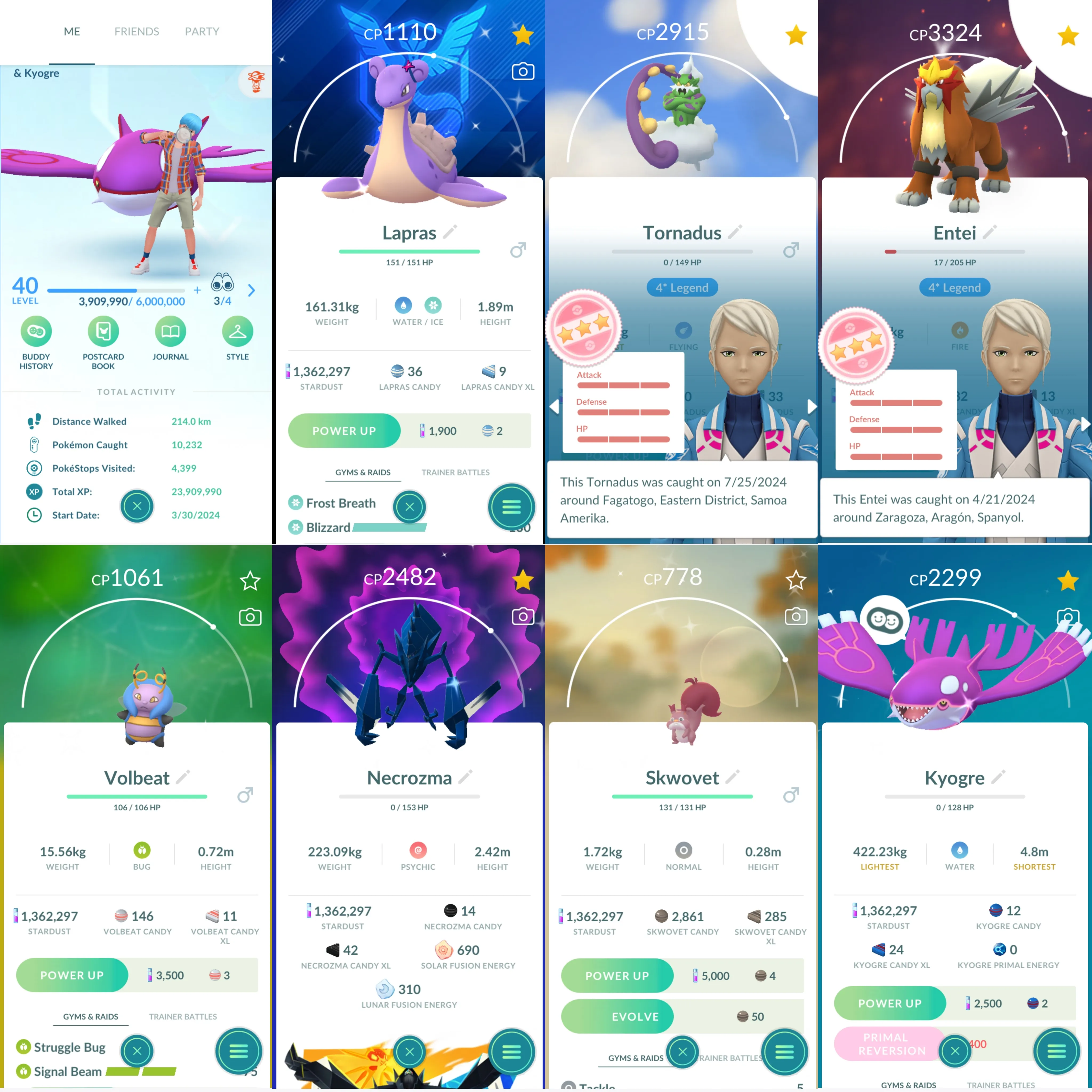 1332 LV40 Entei100-2 Tornadus100 Rare Shiny Lapras Blanche Mystic Bg Shiny: Necrozma, Kyogre, ditto, wooloo, scraggy, inkay