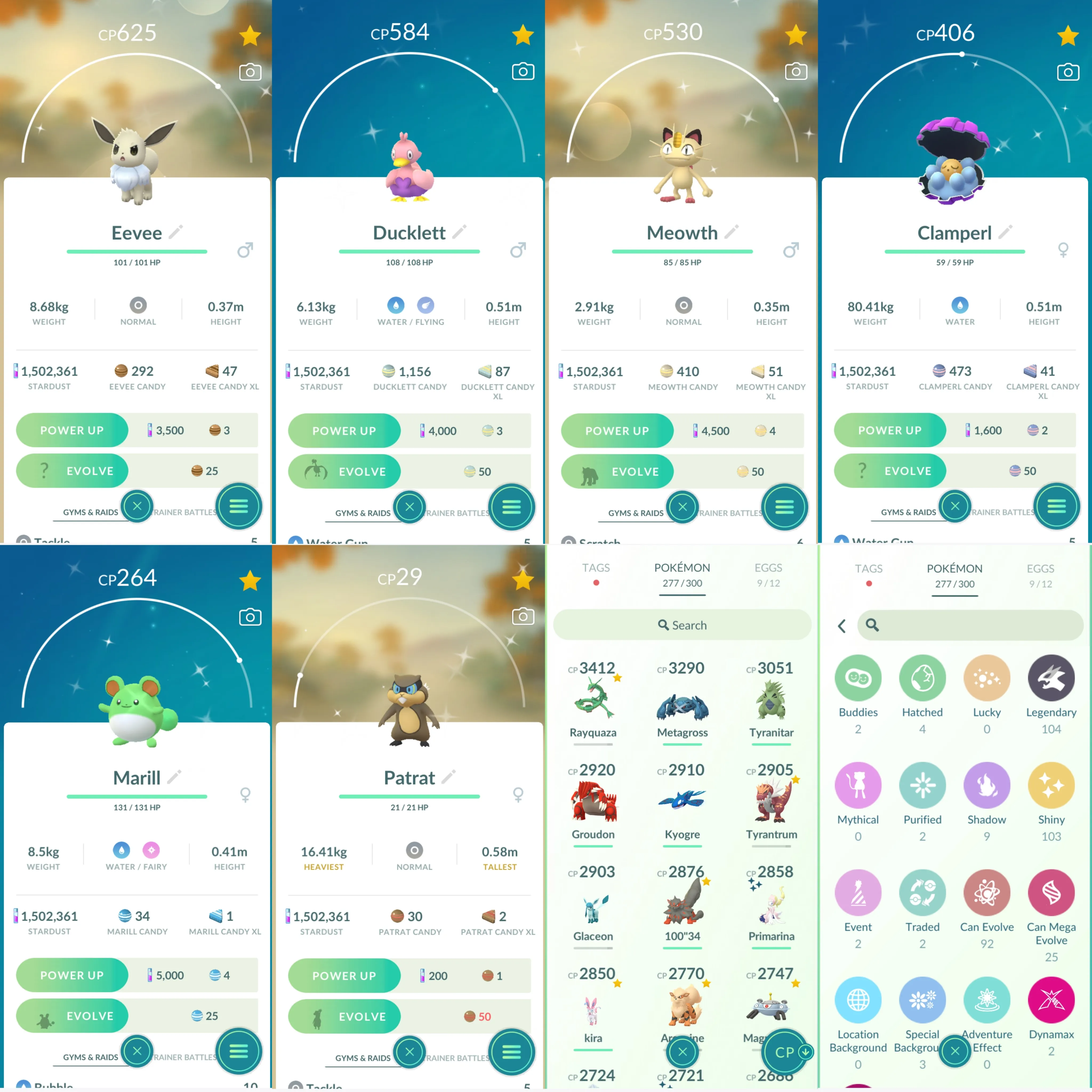 1354 LV41 Raikou100 x2 Shiny: zamazenta, eevee, kyogre, articuno, mega lucario, falinks, ducklett, Meowth, marill, primarina