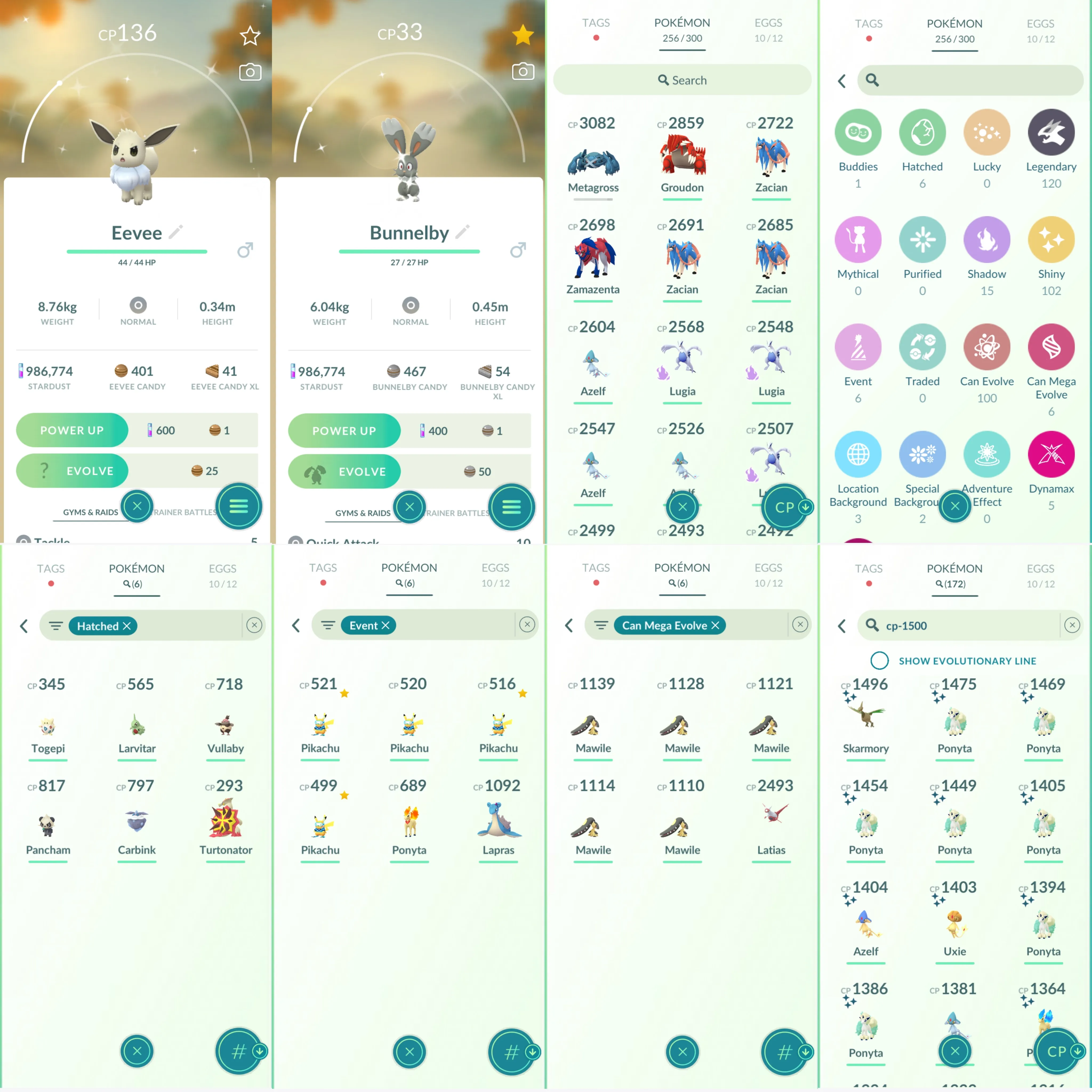 1361 LV40 Pikachu WCS 2024 Hawaii Shiny: zamazenta, xerneas, Charizard, azelf, uxie, skarmory, togedemaru, chansey, inkay