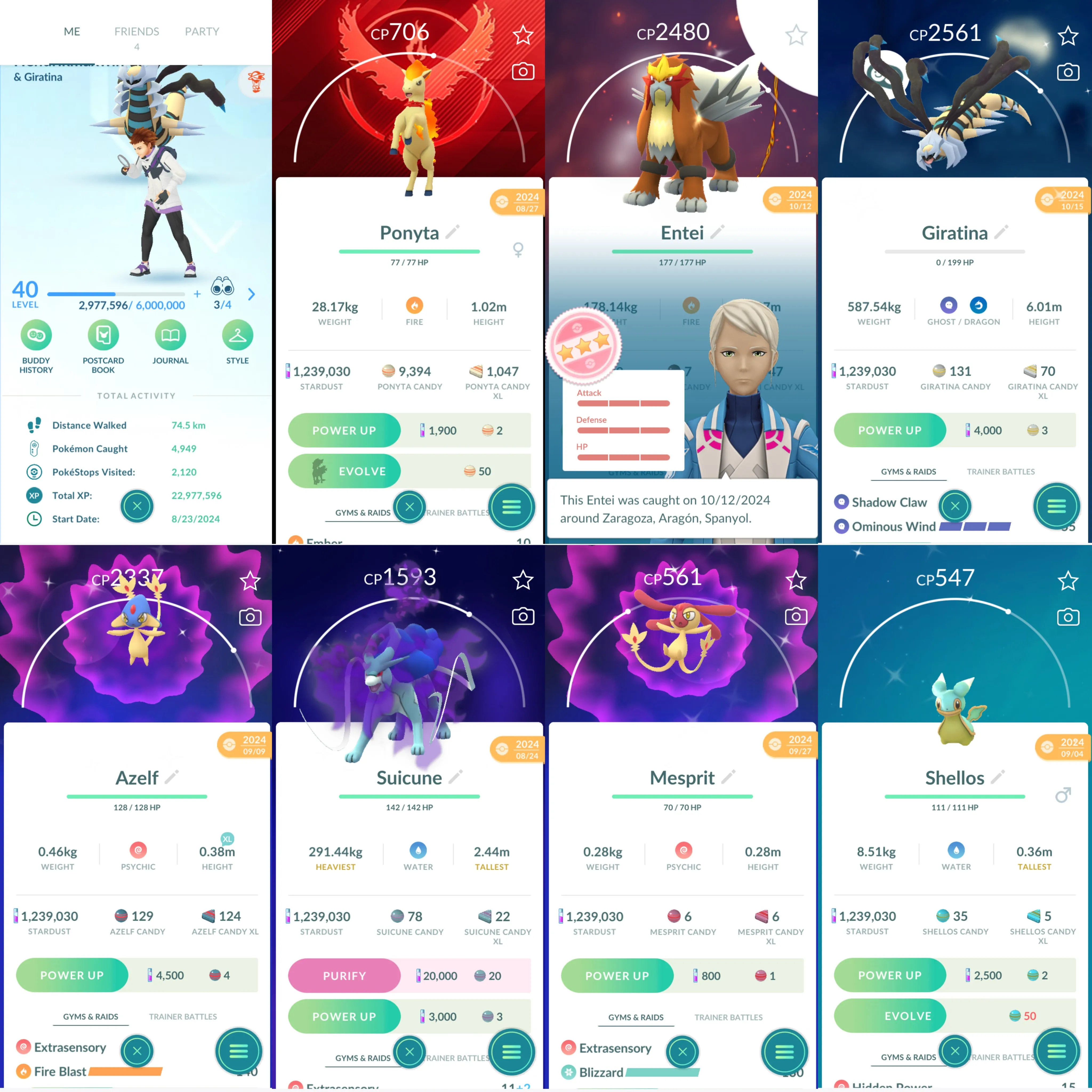 1482 LV40 Entei100 Shiny: giratina, azelf, shadow suicune, mesprit, shellos, galarian Ponyta, Ponyta, popplio, shuppet