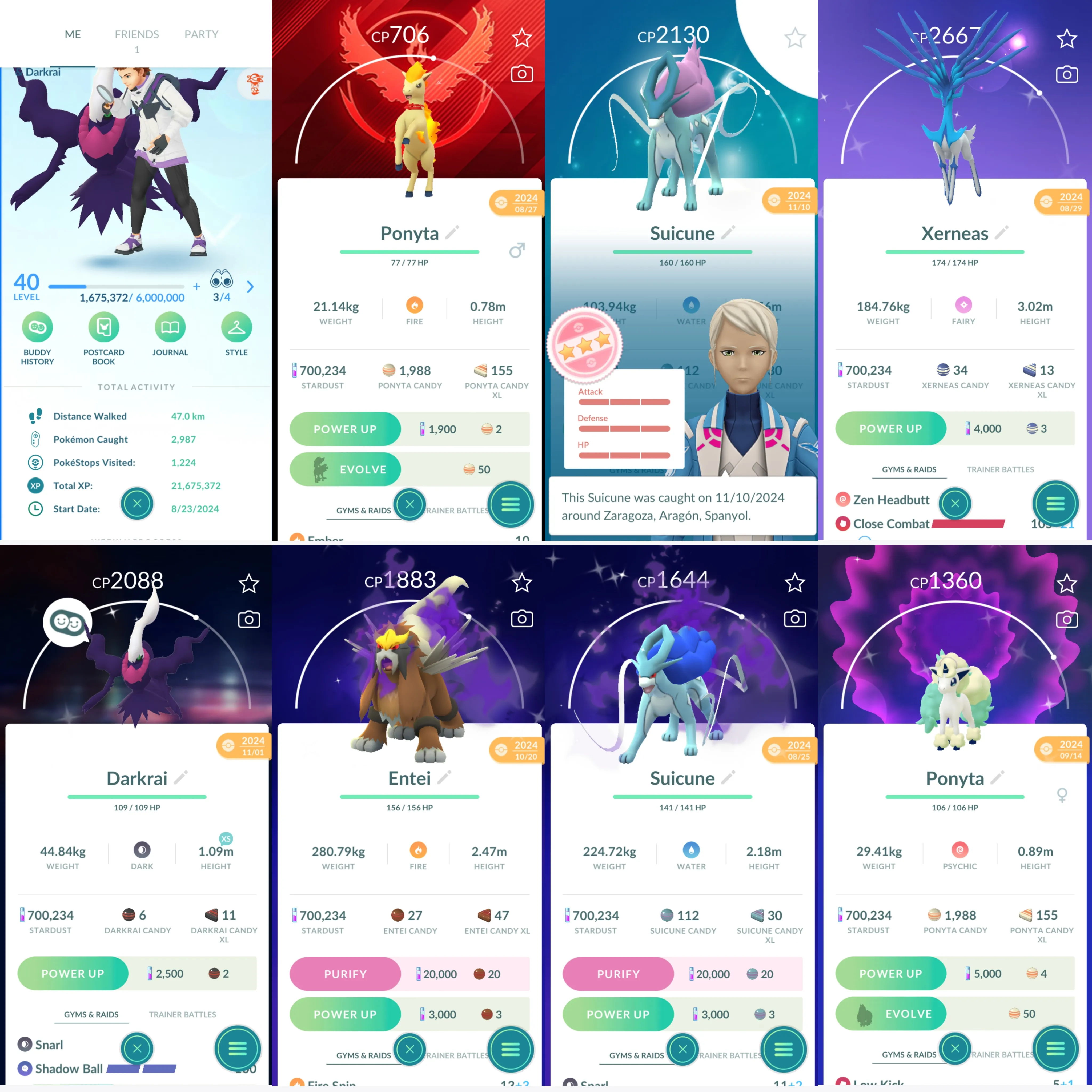 1485 LV40 Suicune100 RareCandy142 Shiny: darkrai, xerneas, shadow entei, shadow suicune, galarian ponyta,  ponyta, popplio