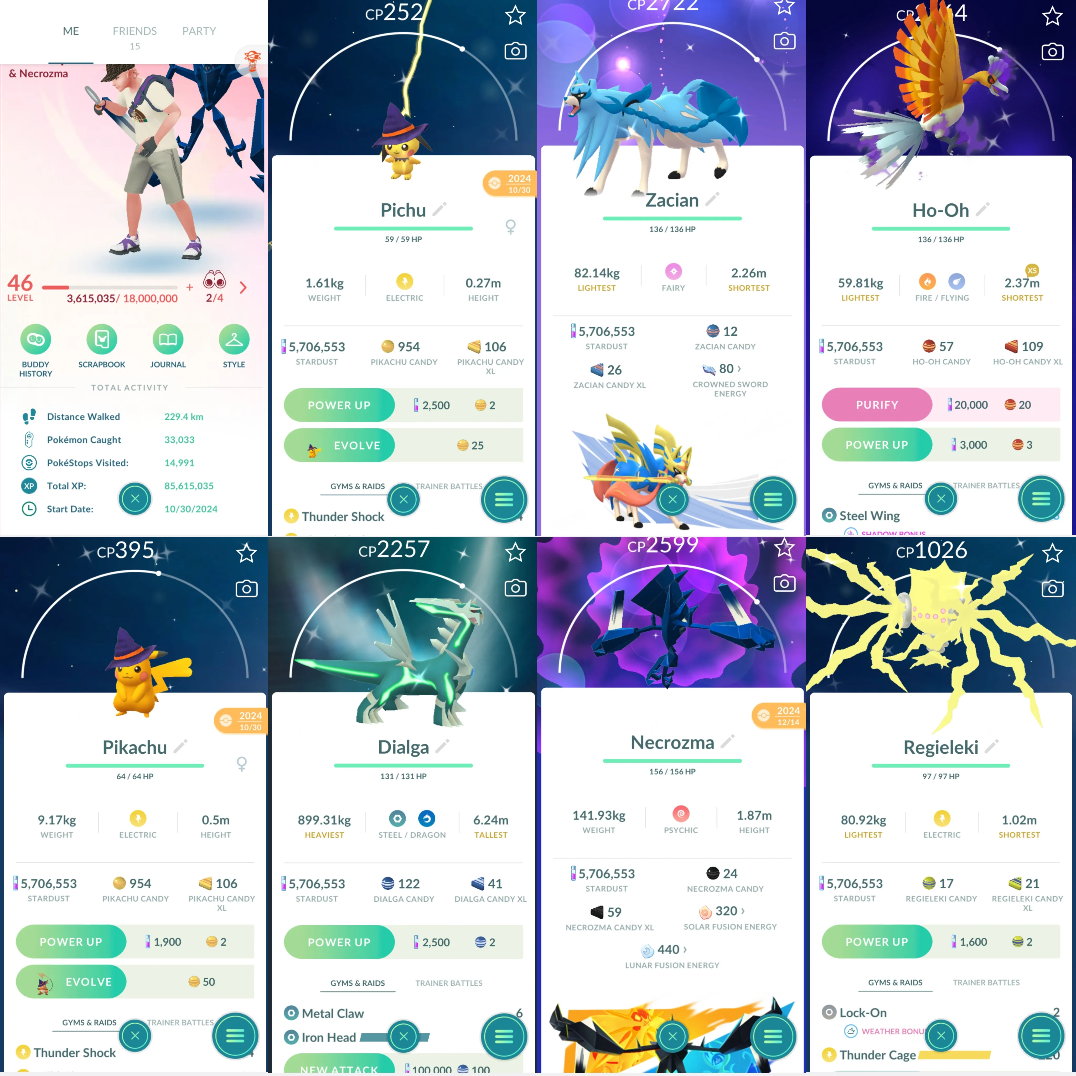 1774 LV46 Shiny Rare Pichu Witch Hat x2 tradeable Shiny: Necrozma, Zacian, Regieleki, Druddigon, Hisui Arcanine