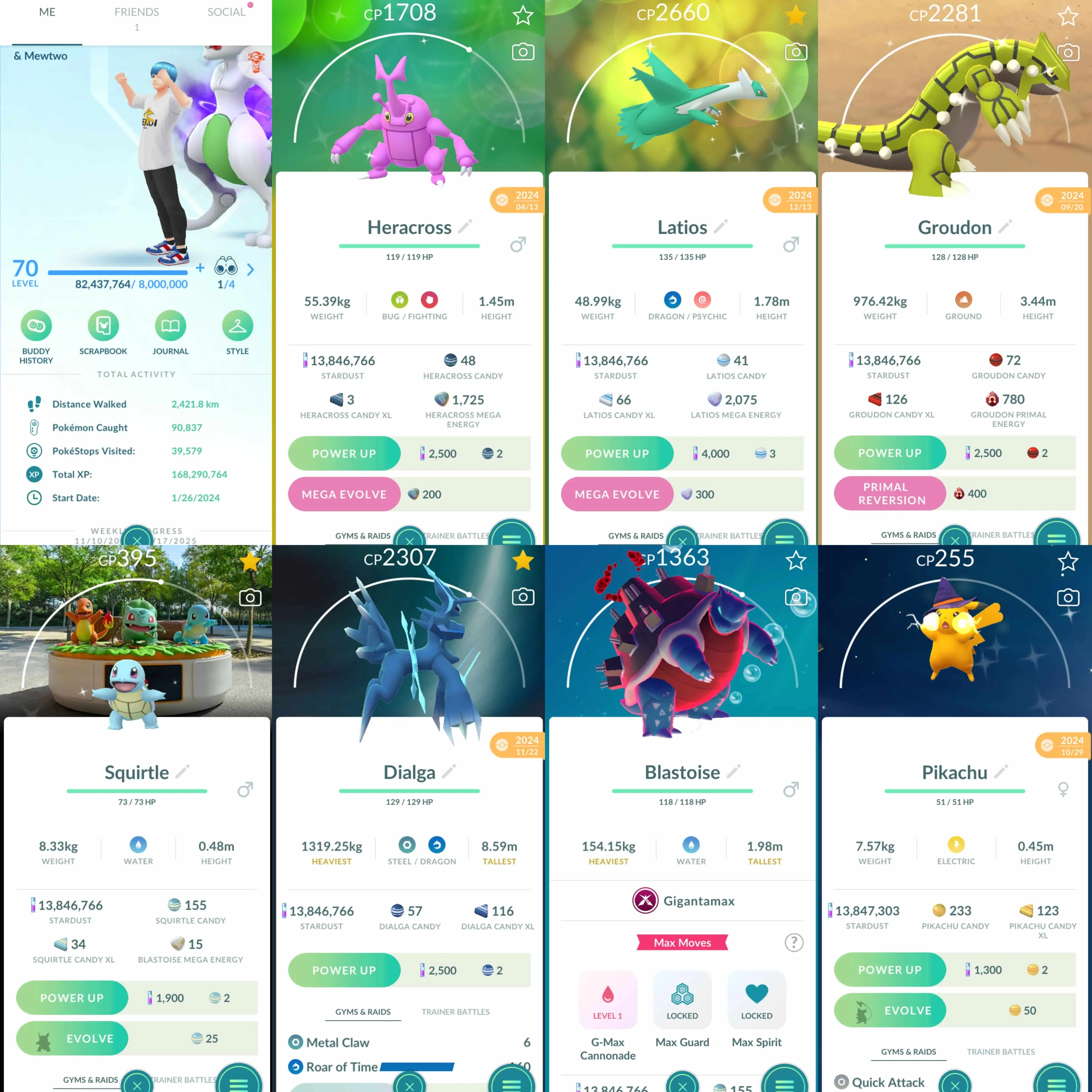 1841 Level 70 Shiny Shadow Mewtwo Shiny Shadow Suicune Shiny Mega Latios Shiny Primal Groudon Shiny Mega Heracross Shiny Mime Jr. Shiny Tyrogue