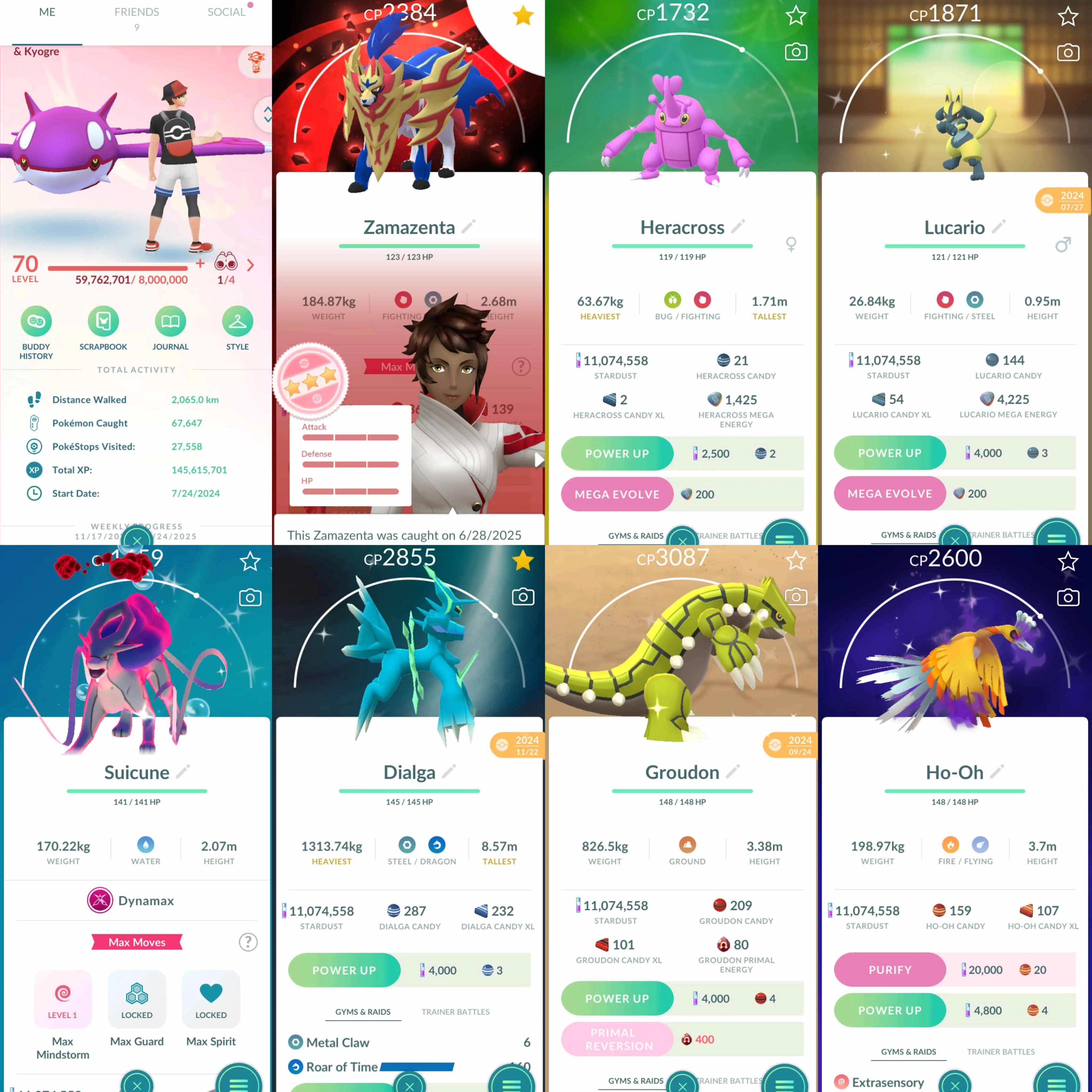 1860 Level 70 Shiny DMax Suicune Shiny Charizard  Zamazenta Crowned Shield IV 100 BG Regieleki100  Shiny Dialga Origin Roar of Time