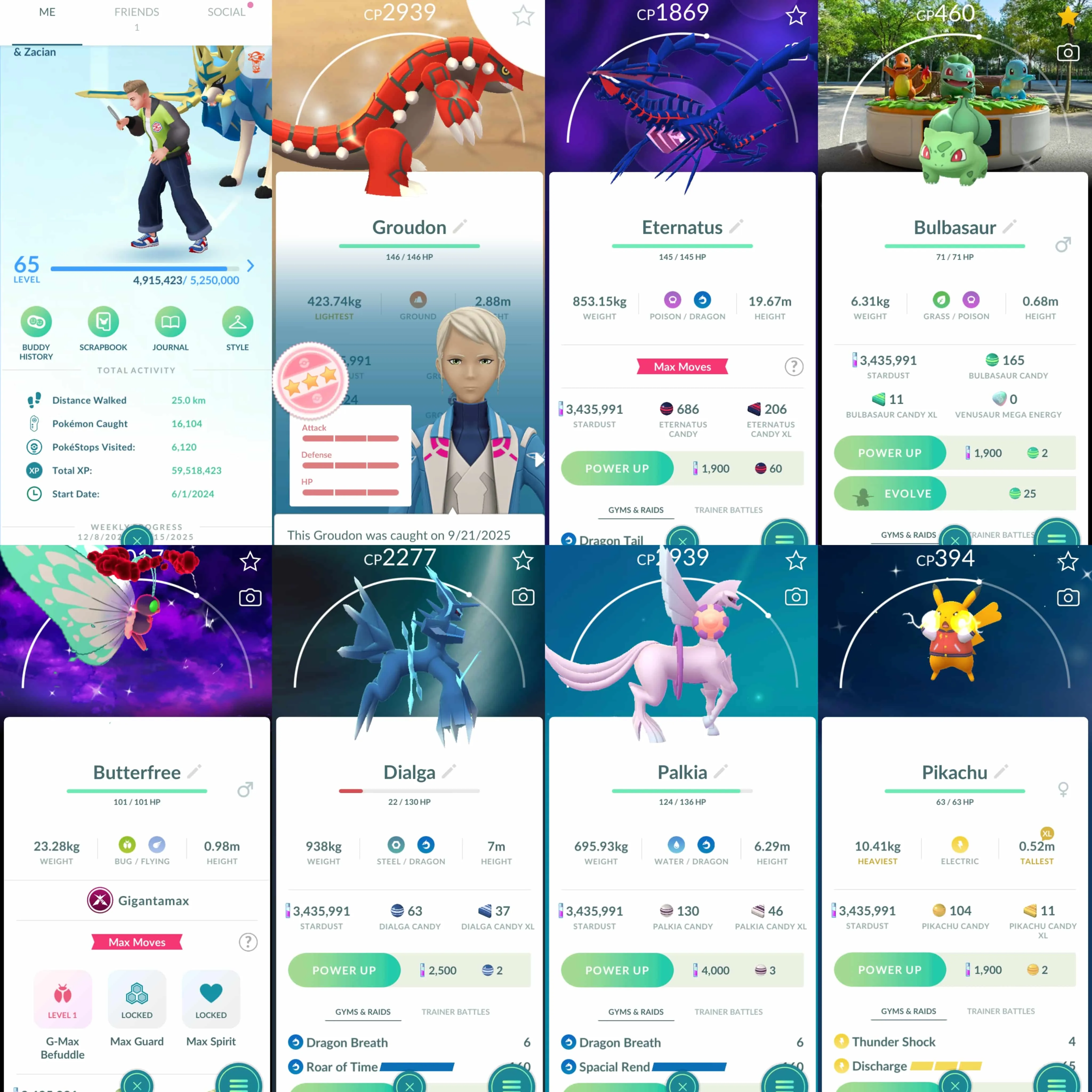 1887 Level 65 Eternatus Shiny GMax Butterfree Dark Skies BG Shiny Zacian Crowned Sword  Shiny Bulbasaur Osaka BG Shiny Dialga Origin