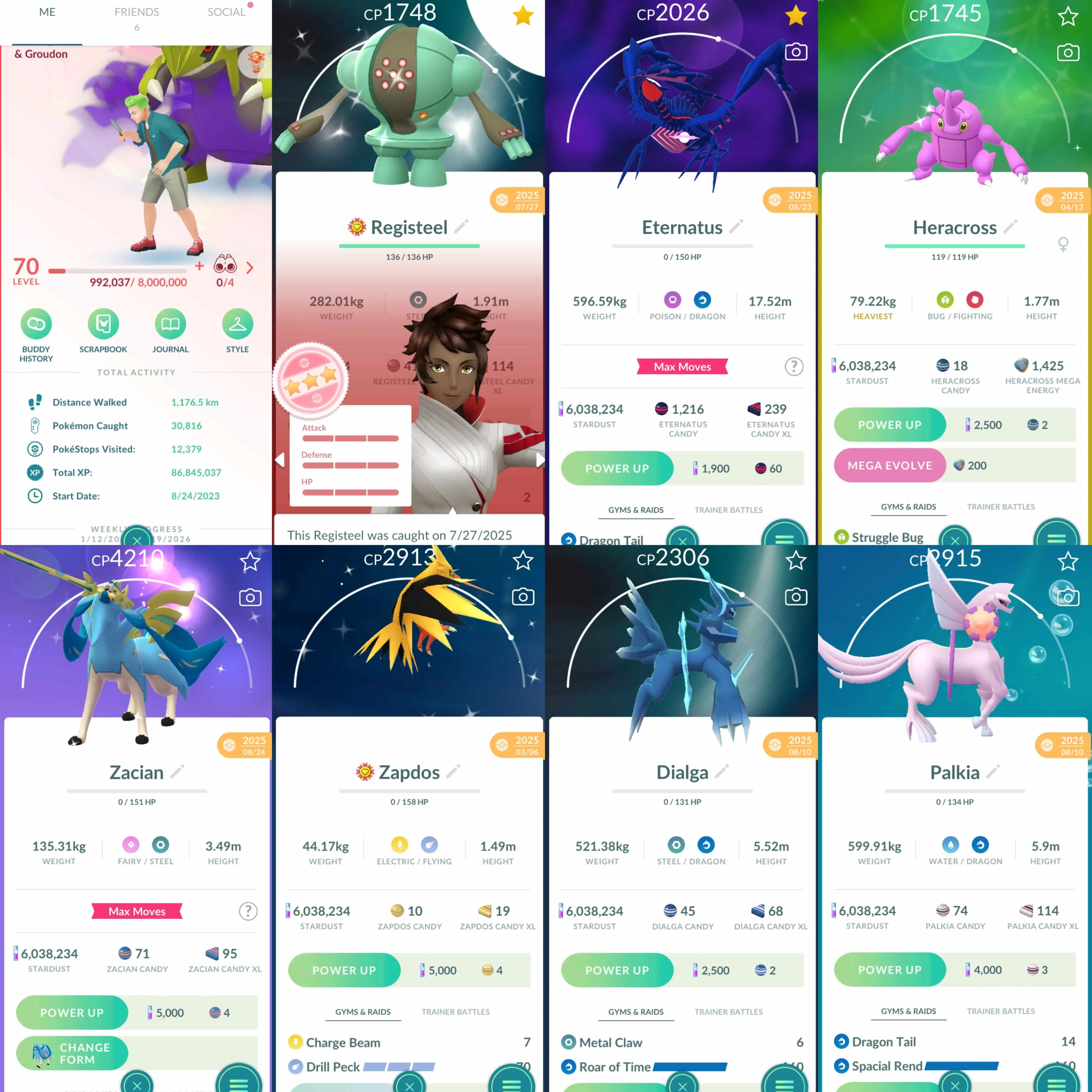 1924 Level 70 Eternatus Shundo Registeel Shiny Zacian Crowned Sword Shiny Mega Metagross Shiny Mega Gyarados Shiny Mega Heracross