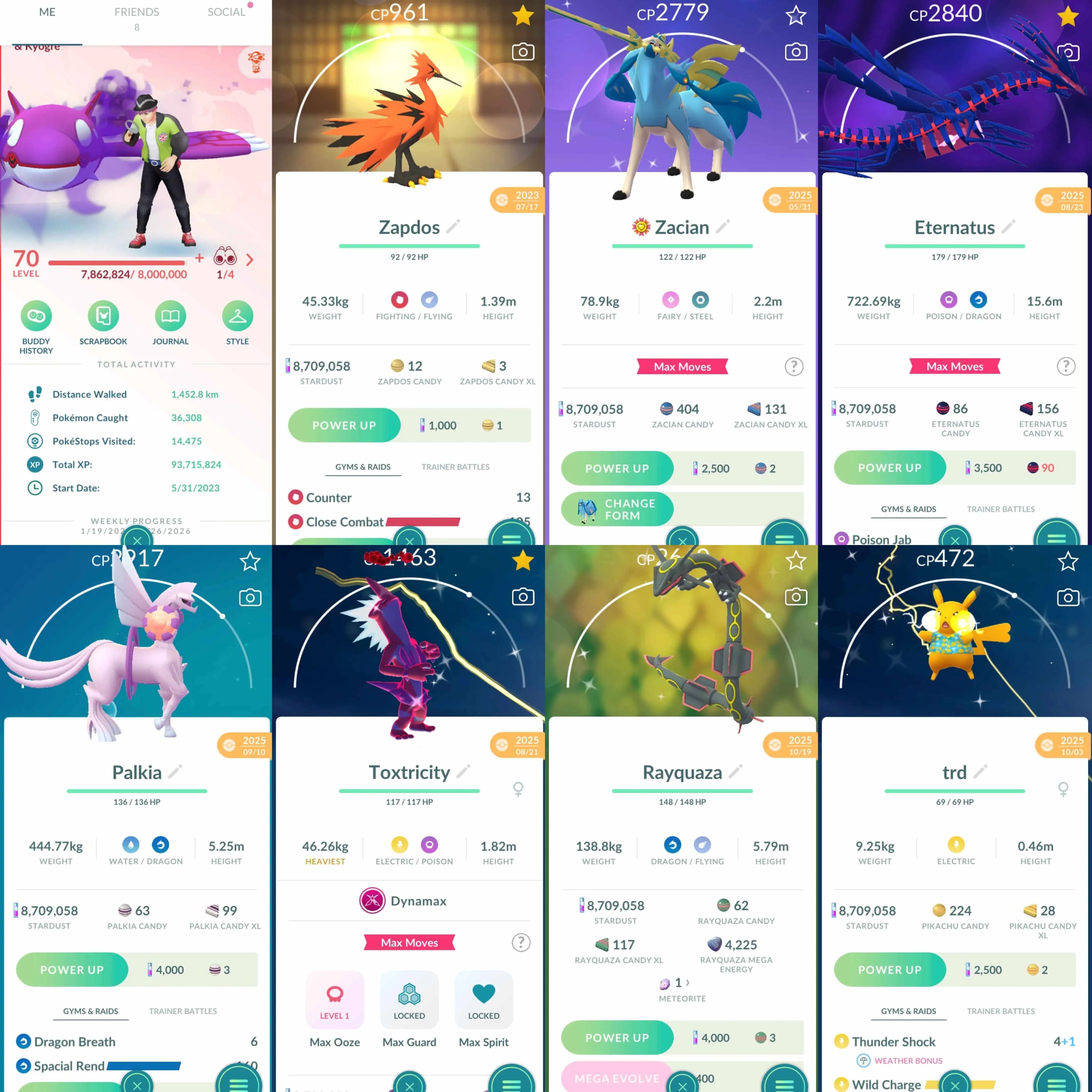 1935 Level 70 Eternatus Shiny DMax Toxtricity Shiny Mega Rayquaza Shiny Zacian Crowned Sword Shiny Mega Charizard Shiny Mega Metagross Shiny Mega Absol