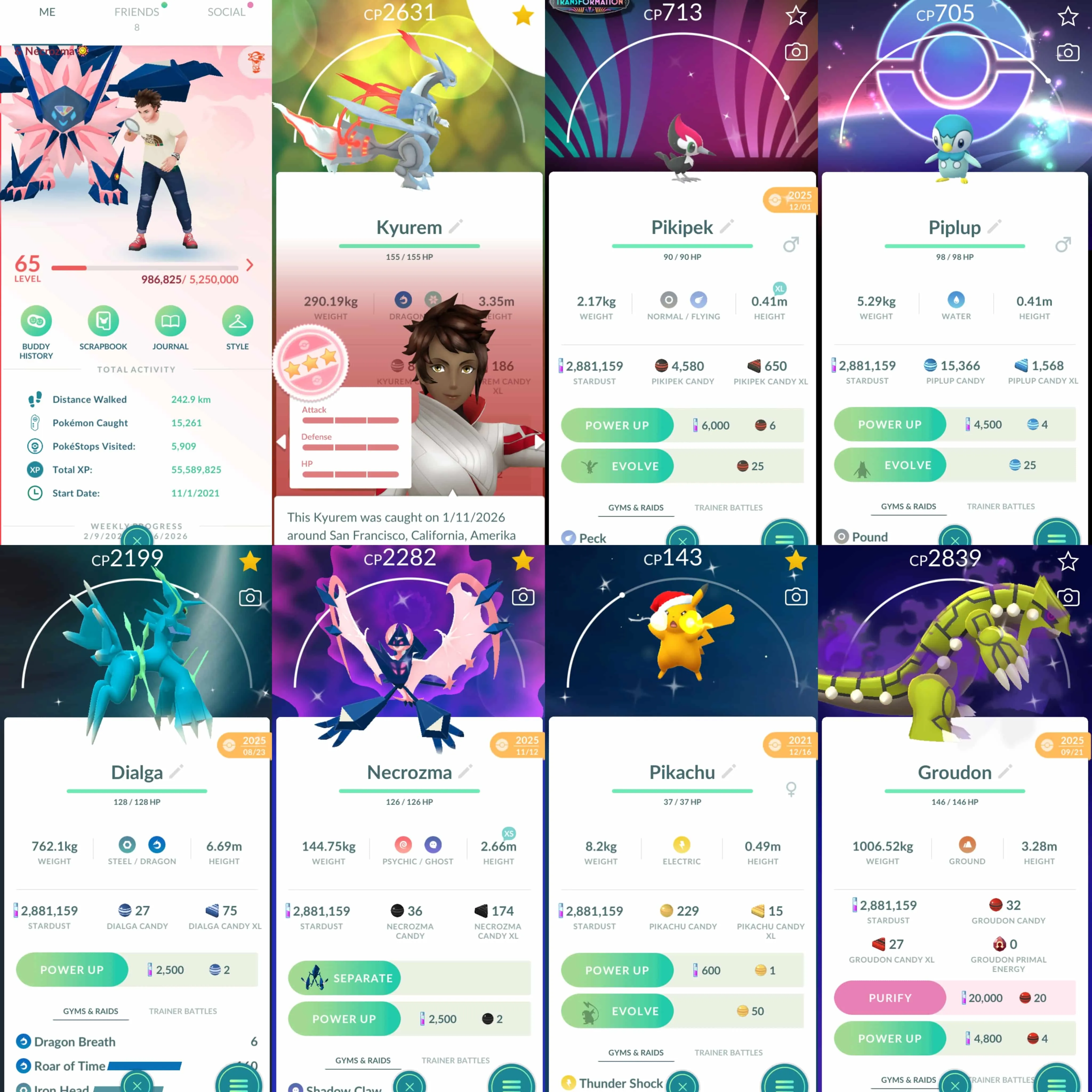 1964 Level 65 Shiny Dusk Mane Necrozma Shiny Dawn Wings Necrozma White Kyurem 100 Ice Burn Shiny Piplup BG Shiny Pikipek BG Shundo Scyther Shiny: shadow Raikou x4, shadow Latios, shadow Groudon, Dialga Origin, shadow Cresselia