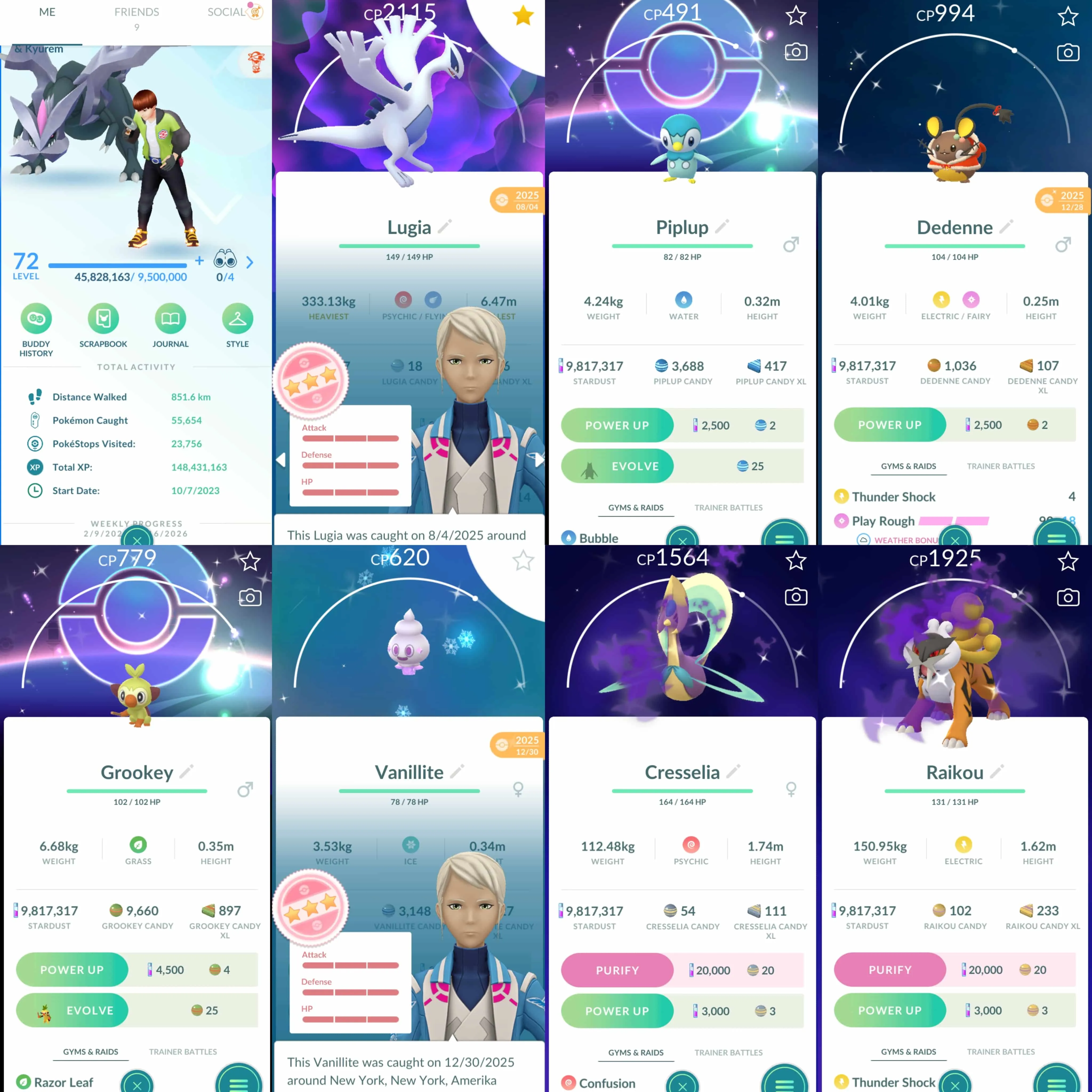 1965 Level 72 Lugia100 Regirock100 Virizion100 Zygarde Shundo Vanillite Shiny: shadow Raikou x2, shadow Regirock, shadow Cresselia x3, Cobalion, Virizion x2, Reshiram, Kyurem, Tapu Fini, Dedenne Holiday Costume, Togepi, Pancham