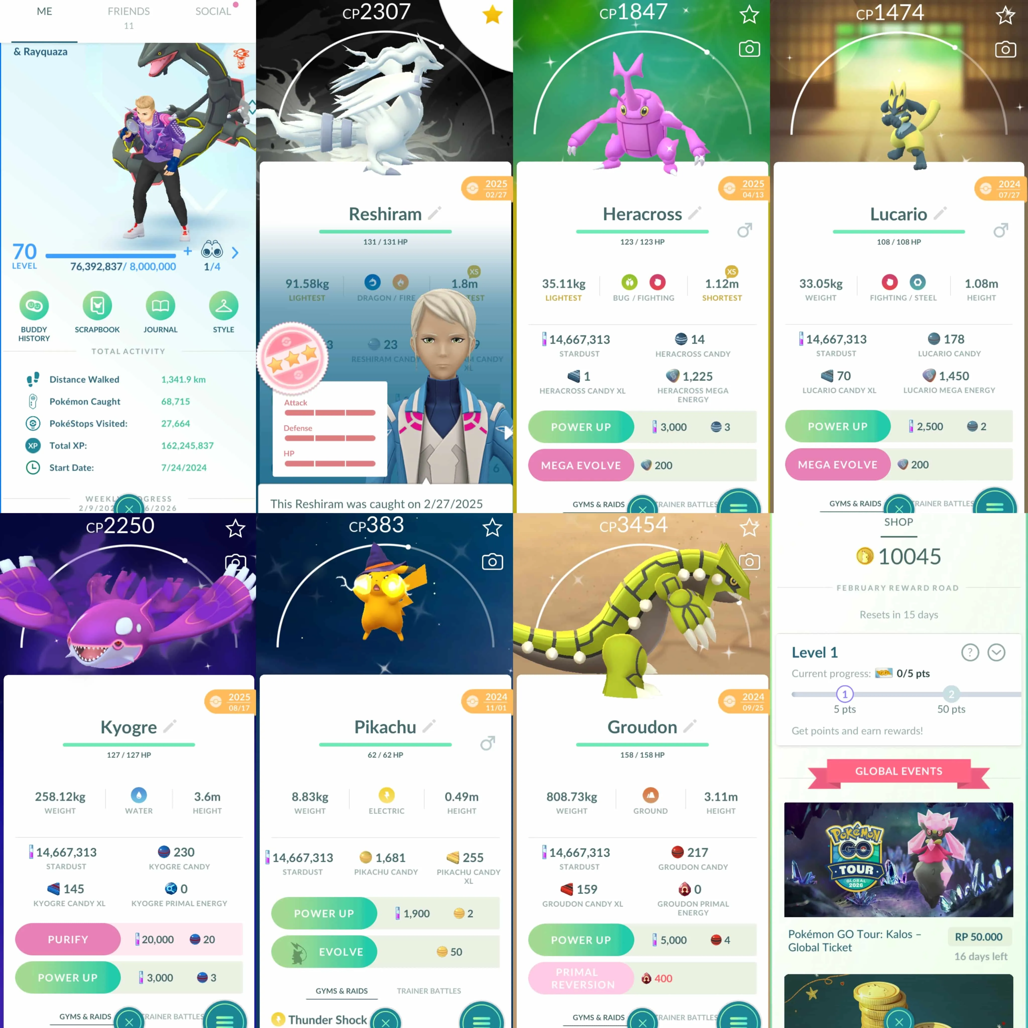 1972 Level 70 Coin10045 Reshiram100 Shiny Rayquaza Shiny Zacian and Zamazenta Shiny Mega Lucario Shiny Mega Latios Shiny Mega Heracross