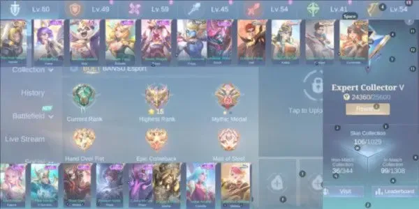 ML543 Expert Collector V Star Fragment 2812 Natalia Christmas Nana Epic Akai Anniversary Kadita Starlight LB Tigreal Masha Epic Sparkle Melissa