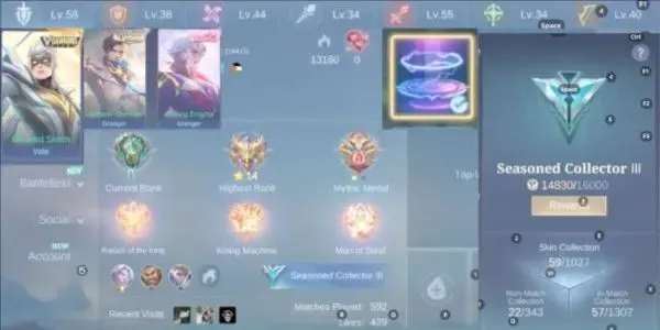 ML598 Seasoned Collector III | Dawning Vale Skin | Lightborn Granger | Valentine Granger | Epic Recall | Limited Edition