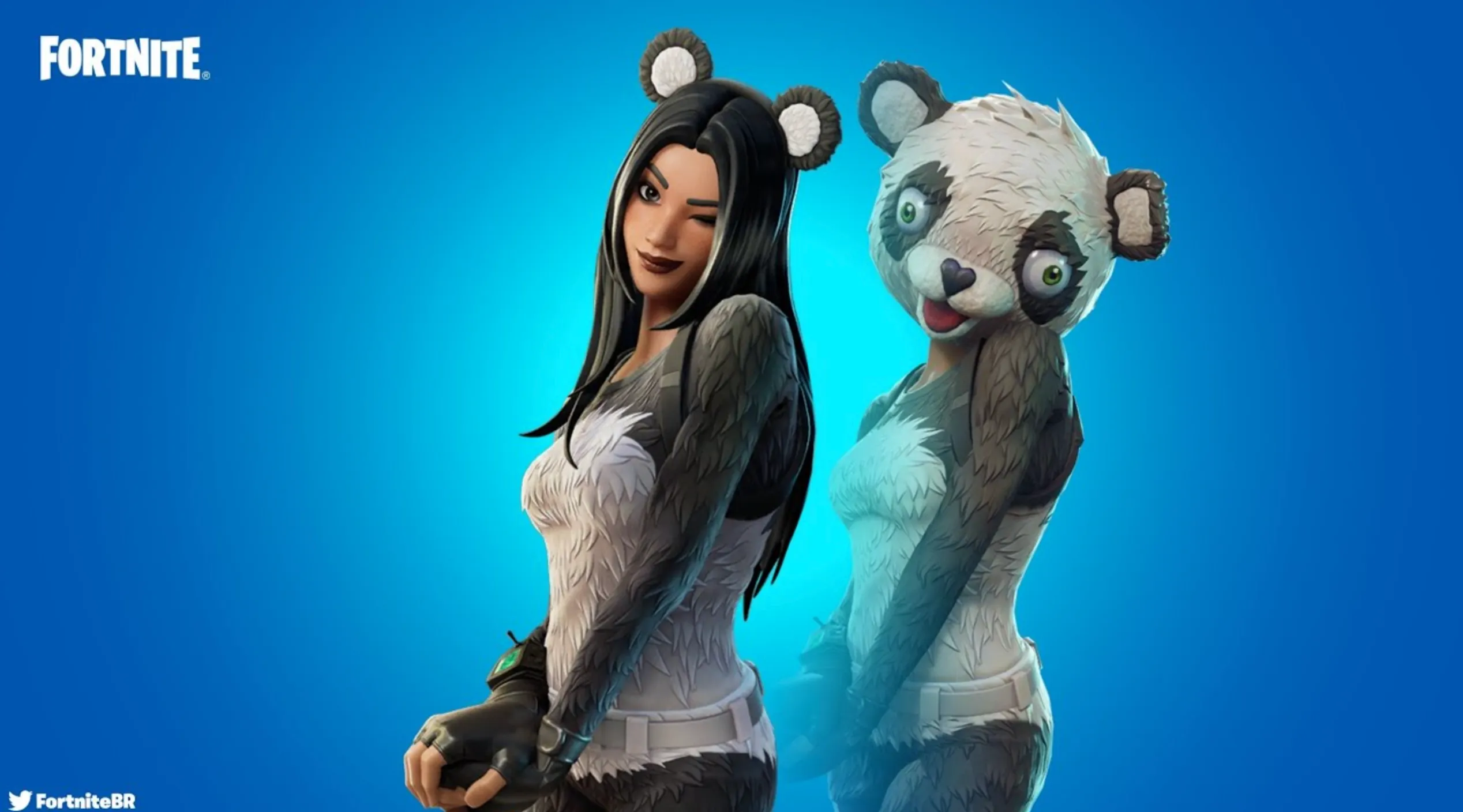 P.A.N.D.A. Team Leader