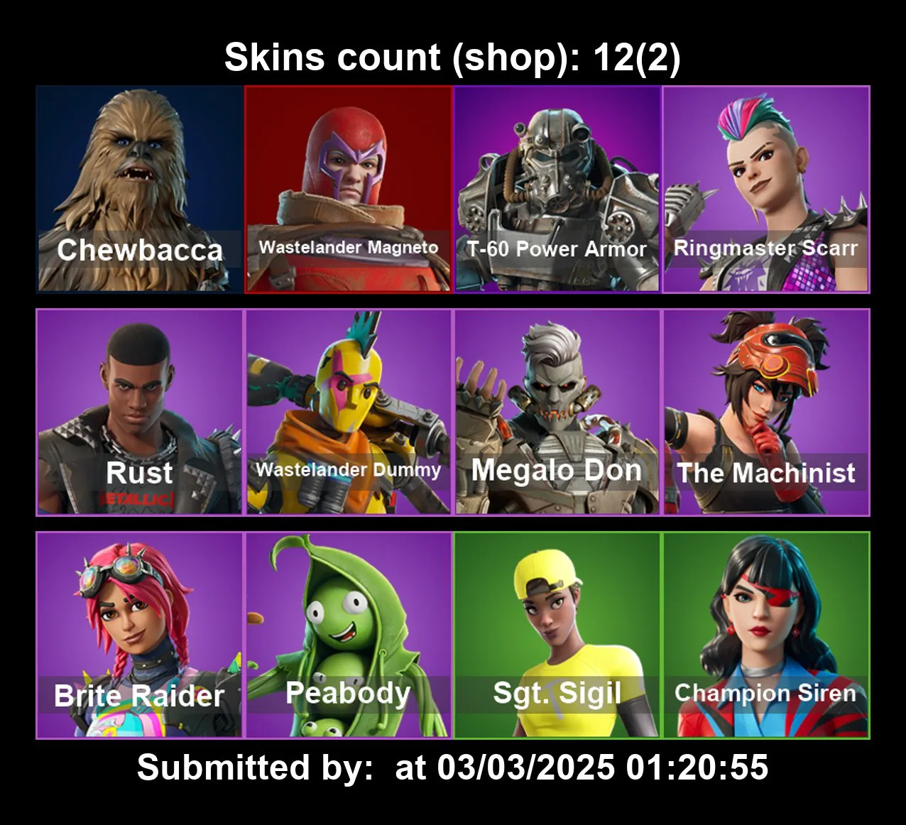 [PC/PS4-5/XBOX] 12 Skins | Chewbacca | T-60 Power Armor | Rust | Megalo Don | Pea Body | Brite Raider | Sgt.Sigil | Waste Lander Dummy | Full Email Access
