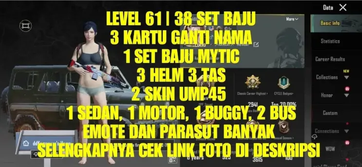 PGM492 38 Outfit Sets, 2 UMP45 Skins, Mythic Set, 1 Sedan, 1 Motor, 1 Buggy, 2 Bus, Many Emotes & Parachutes (G)