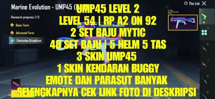 PGM497 UMP45 Evo Level 2, 48 Outfit Sets, 2 Mythic Sets, Buggy Skin, 5 Helmets, 5 Backpacks, 3 UMP45 Skins, Many Emotes & Parachutes (G)