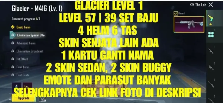PGM499 Glacier M416 Level 1, 39 Outfit Sets, 2 Sedan Skins, 2 Buggy Skins, 4 Helmets, 6 Backpacks, Name Change Card, Many Emotes & Parachutes (G)