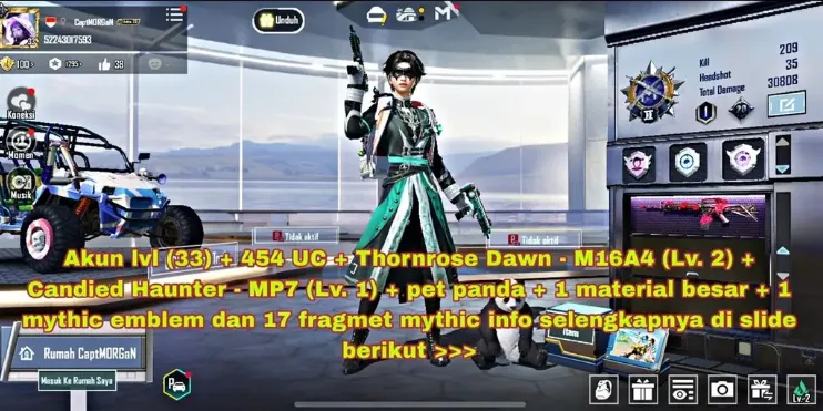 PGM500 Thornrose Dawn M16A4 Lv.2, Candied Haunter MP7 Lv.1, 33 Account Level, Pet Panda, 454 UC, Mythic Emblem, 17 Mythic Fragments, Multiple Skins & Cosmetics (G)
