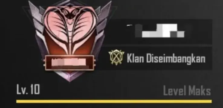 PGM501 Clan Level 10 Max (G)