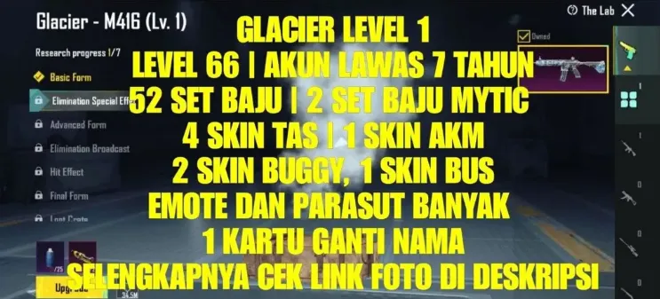 PGM506 Glacier M416 Lv.1, 52 Outfits (2 Mythic), Level 66, Rare AKM, Buggy & Bus Skins (G)