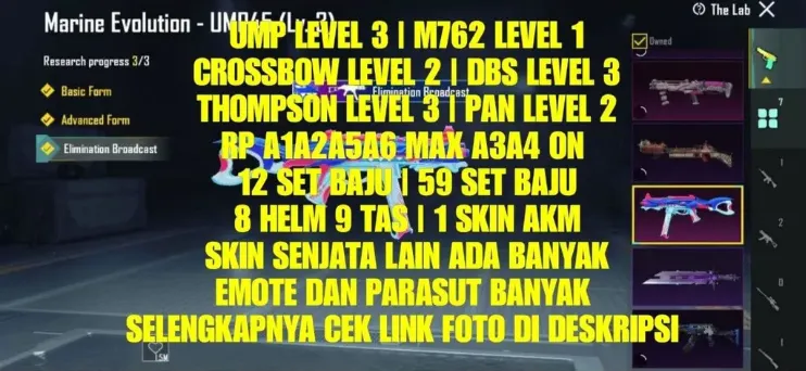 PGM523 Lab Weapon Skins, Max RP Outfits, Panthera Prime DBS Lv3, B-Jet Unicorn M762, Faerie Luster Pan, Many Emotes & Parachutes (G)