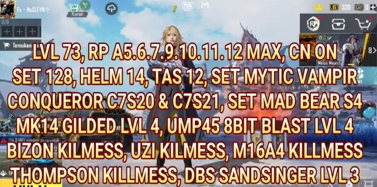 PGM550 MK14 Gilded Lvl 4, Vampir Mythic Set, Conqueror S20/S21, Max RP Collection (G)