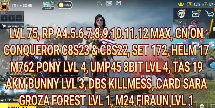 PGM551 Pony M762 Lvl 4, Bunny AKM Lvl 3, Conqueror C8S22/C8S23, Max RP, 172 Sets (G)