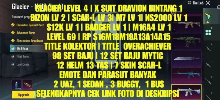 PGM555 Glacier M416 Lvl 4, X Suit Dravion Bintang, Overachiever, 12 Mythic Sets (G)
