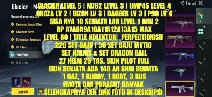 PGM565 Glacier M416 Lvl 5, P90 Lvl 4, UMP45 Lvl 4, 30 Mythic Sets, Kaiju & Dragon Ball Outfits, 220 Sets (G)