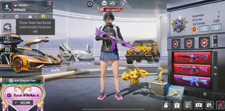 PGM573 6 X-Suit Combo, 3 Mummy, Inferno, 37 Lab Weapons, Legendary Sport Car, Ultimate Outfits (G)