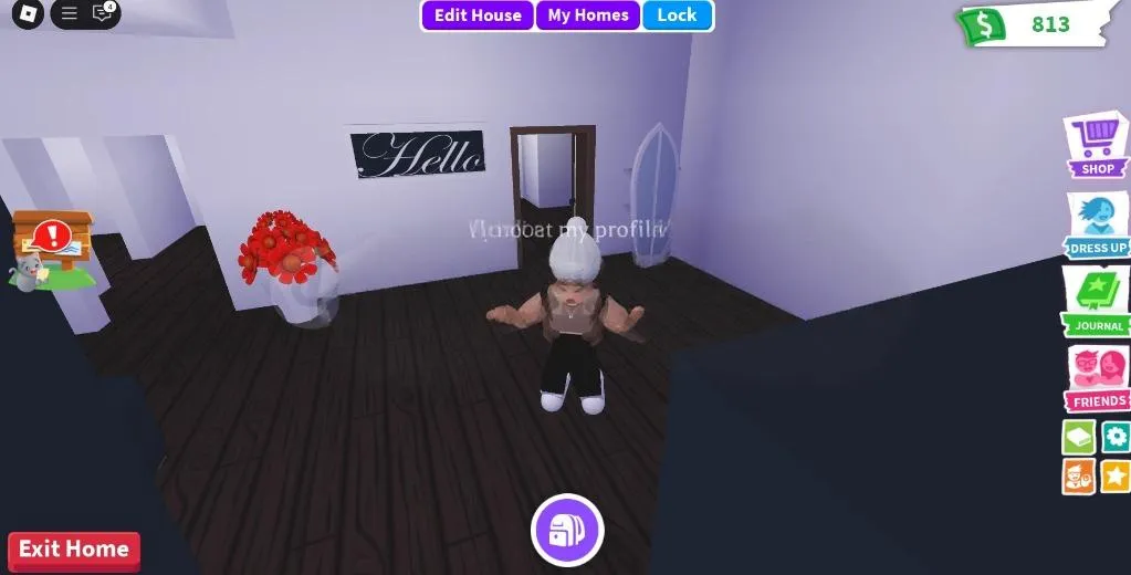 RBL2931  8.9k+ Robux Totali Hesap Adopt Me Decorated House 813 Bucks Hello Wall Sign Flowers Cloud Chair Mirror Cozy Room(NO EMAIL) (G)