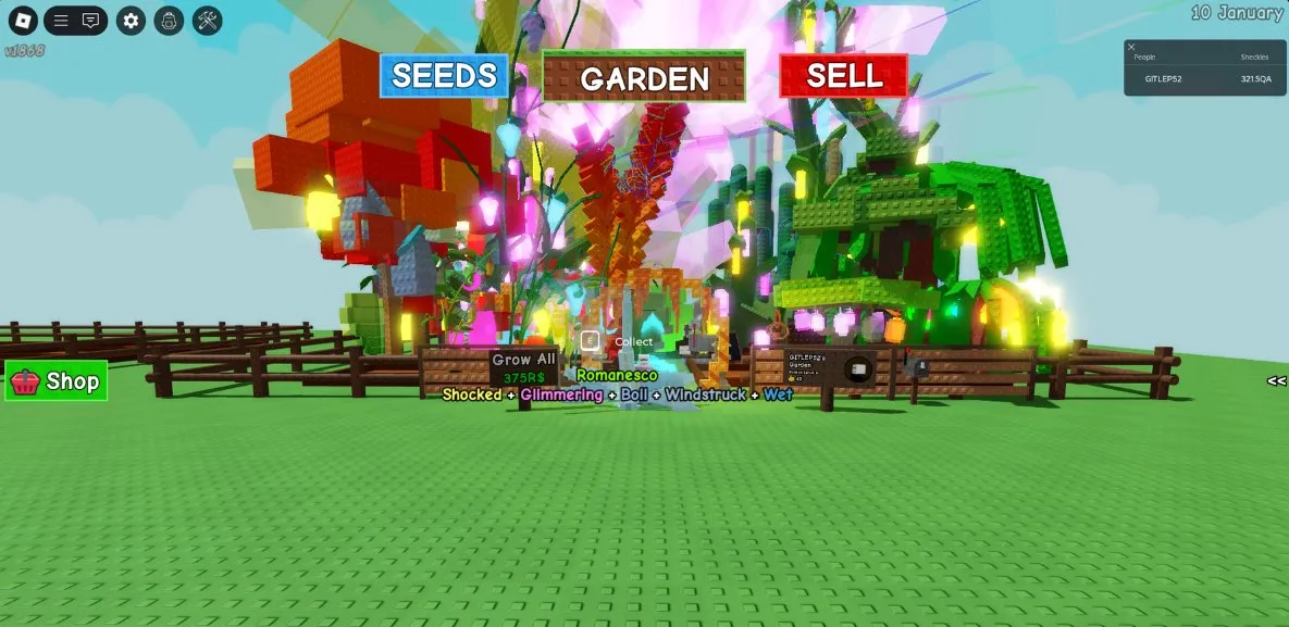 rblx3493 //Mega Fat AKK Grow a Garden Frozen Dragonfly 4 Night OWL Auto Supply Seeds Garden Sell Rainbow Plants Picture Shows Vi