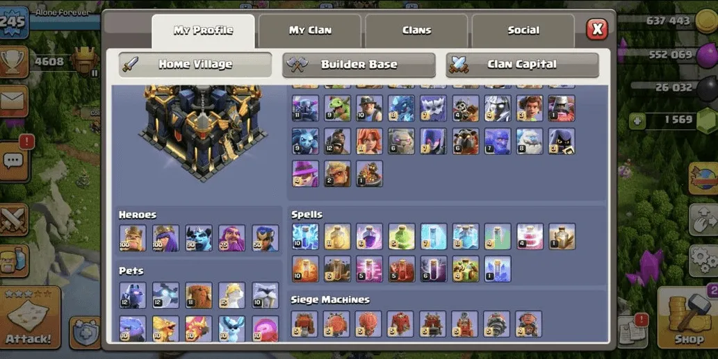 COC535 TH17 SULTAN ALLMAXED ALL TROOPS DEFENSE HERO ANIMAL MAX EQUIPMENT EXPENSIVE BACKGROUND SKIN (G)