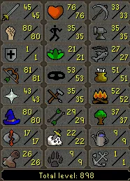 OSRS Account - [ No Email Set - Baby Pure ] [ 898 Total | 87 QP ] Infernal Cape | Dizana's Quiver | Imbued Zamorak Cape | DT | Mithril Gloves | Guthix Cape | Ava | CB LVL 65 #110376661