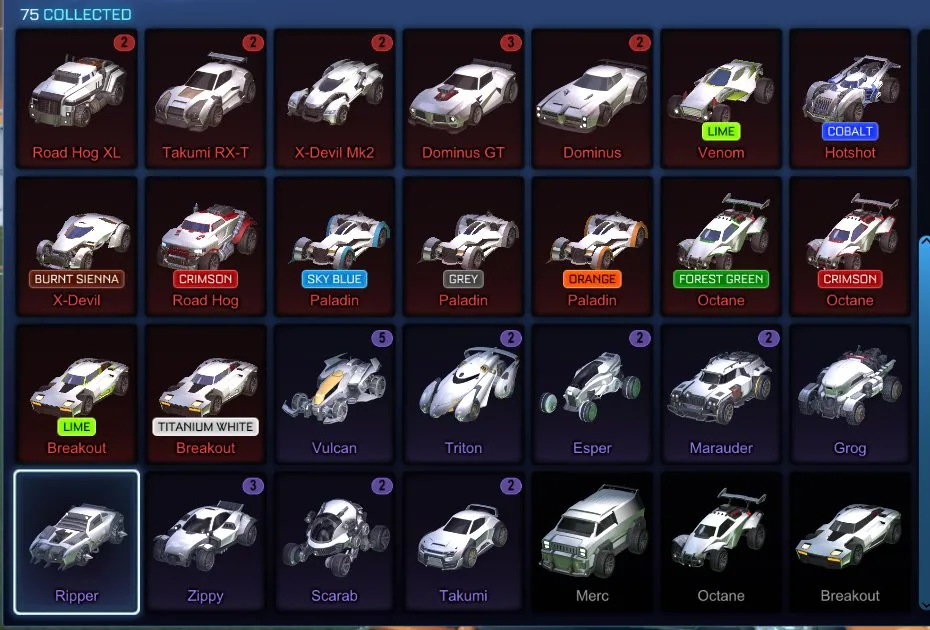 STOCK438 //Fennec, Titanium White Standard Boost, 75 Cars, Painted Paladin, Octane, Hotshot, Breakout, Extensive Wheels