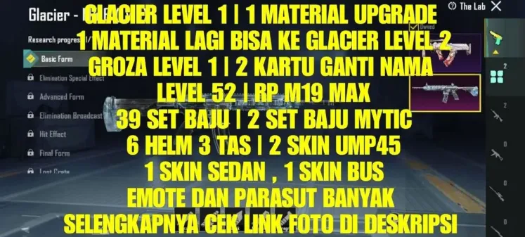 PGM512 Glacier M416 Level 1+Material, Groza Level 1, 2 Mythic Outfits, 39 Outfits, RP M19 Max, Multiple Vehicle Skins (G)