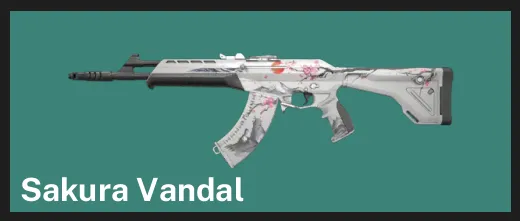 ๐AP ๐ฎ RANKED READY โจ Sakura Vandal